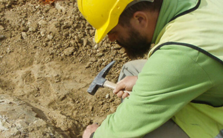Paleontología y catastros - Drone Control Chile